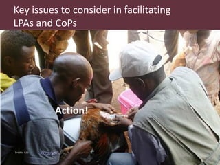 What are LPAs? What are CoPs? What matters to make them work?