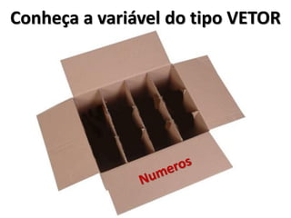 Conheça a variável do tipo VETOR  