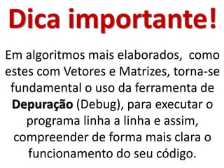 Dica importante! Em algoritmos mais elaborados, como estes com Vetores e Matrizes, torna-se fundamental o uso da ferramenta de Depuração (Debug), para executar o programa linha a linha e assim, compreender de forma mais clara o funcionamento do seu código.  