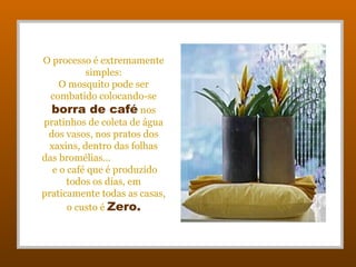 O processo é extremamente
simples:
O mosquito pode ser
combatido colocando-se
borra de café nos
pratinhos de coleta de água
dos vasos, nos pratos dos
xaxins, dentro das folhas
das bromélias...
e o café que é produzido
todos os dias, em
praticamente todas as casas,
o custo é Zero.
 