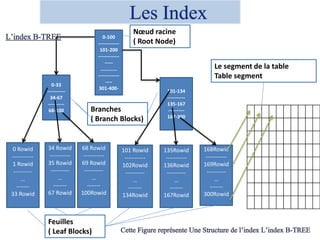 0-100
-------------
101-200
-------------
-----
………….
-------------
----
301-400-
Branches
( Branch Blocks)
0-33
-----------
34-67
----------
68-100
101-134
-----------
135-167
----------
167-300
0 Rowid
-----------
1 Rowid
----------
…
-------
33 Rowid
34 Rowid
-----------
35 Rowid
----------
…
-------
67 Rowid
68 Rowid
-----------
69 Rowid
----------
…
-------
100Rowid
101 Rowid
-----------
102Rowid
----------
…
-------
134Rowid
135Rowid
-----------
136Rowid
----------
…
-------
167Rowid
168Rowid
-----------
169Rowid
----------
…
-------
300Rowid
Nœud racine
( Root Node)
Feuilles
( Leaf Blocks)
Le segment de la table
Table segment
 