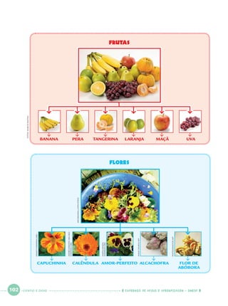 102 CADERNOS DE APOIO E APRENDIZAGEM · SMESP
FloreS
FRUTAS
BANANA PERA TANGERINA LARANJA MAÇÃ UVA
CAPUCHINHA CALÊNDULA AMOR-PERFEITO ALCACHOFRA FLOR DE
ABÓBORA
IAINBAGWELL/LATINSTOCK
MARTAIANSEN/
WIKIPEDIA.ORG
ANDRÉKARWATHAKAAKA/
WIKIPEDIA.ORG
DENSITY/WIKIPEDIA.ORG
IMAGESOURCE/AFP
PHOTONONSTOP/AFP
FOTOS:MARCIOMAITAN
CENTO E DOIS
Port1ºAnoParte2.indd 102Port1ºAnoParte2.indd 102 9/16/10 10:39 AM9/16/10 10:39 AM
 