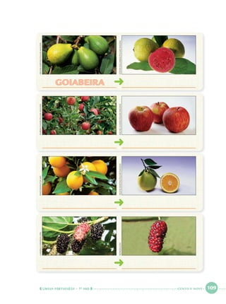 LÍNGUA PORTUGUESA · 1O
ANO 109
GOIABEIRAGOIABEIRA
DELFIMMARTINS/PULSARIMAGENSRUBENSCHAVES/PULSARIMAGENSPHOTONONSTOP/AFPCAMPOLA/WIKIPEDIA.ORG
STEFANKOLUMBAN/PULSARIMAGENSRACHELGUEDES/PULSARIMAGENSDELFIMMARTINS/PULSARIMAGENSREPRODUÇÃO
CENTO E NOVE
Port1ºAnoParte2.indd 109Port1ºAnoParte2.indd 109 9/16/10 10:39 AM9/16/10 10:39 AM
 