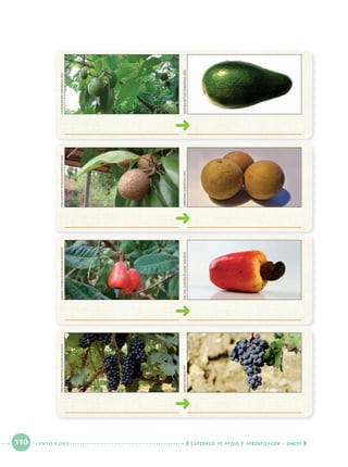 110 CADERNOS DE APOIO E APRENDIZAGEM · SMESP
GEOGRAPHER/WIKIPEDIA.ORGMIRMAHADIHASSAN/WIKIPEDIA.ORGDANIELCYMBALISTA/PULSARIMAGENSDELFIMMARTINS/PULSARIMAGENS
MONIKABETLEY/WIKIPEDIA.ORGKSBROWN/WIKIPEDIA.ORGRACHELGUEDES/PULSARIMAGENSIMAGESOURCE/AFP
CENTO E DEZ
Port1ºAnoParte2.indd 110Port1ºAnoParte2.indd 110 9/16/10 10:39 AM9/16/10 10:39 AM
 