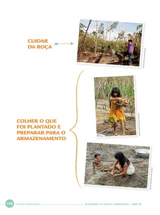 116 CADERNOS DE APOIO E APRENDIZAGEM · SMESP
CUIDAR
DA ROÇA
COLHER O QUE
FOI PLANTADO E
PREPARAR PARA O
ARMAZENAMENTO
PALÊZUPPANI/PULSARIMAGENS
DELFIMMARTINS/PULSARIMAGENS
DELFIMMARTINS/PULSARIMAGENS
CENTO E DEZESSEIS
Port1ºAnoParte2.indd 116Port1ºAnoParte2.indd 116 9/16/10 10:40 AM9/16/10 10:40 AM
 
