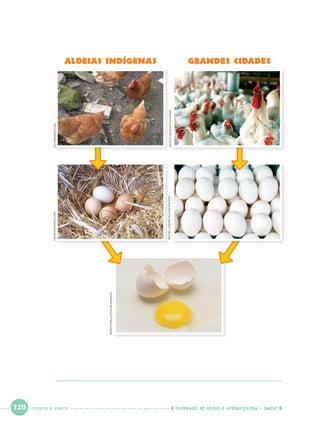 120 CADERNOS DE APOIO E APRENDIZAGEM · SMESP
RENATAMELLO/PULSARIMAGENS
RACHELGUEDES/PULSARIMAGENS
FIR0002WIKIPEDIA.ORG
RACHELGUEDES/PULSARIMAGENS
FIR0002WIKIPEDIA.ORG
ALDEIAS indígenaS grandes cidades
MATUITIMAYEZO/FOLHAPRES
EU/WIKIPEDIA.ORG
CENTO E VINTE
Port1ºAnoParte2.indd 120Port1ºAnoParte2.indd 120 9/16/10 10:40 AM9/16/10 10:40 AM
 