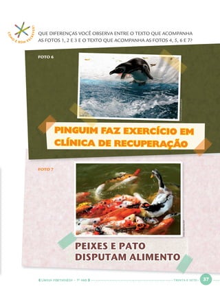 LÍNGUA PORTUGUESA · 1O
ANO 37
PEIXES E PATOPEIXES E PATO
DISPUTAM ALIMENTO
FOTO 6
COM
O
É BOM E S
CREVER!
FOTO 7
QUE DIFERENÇAS VOCÊ OBSERVA ENTRE O TEXTO QUE ACOMPANHA
AS FOTOS 1, 2 E 3 E O TEXTO QUE ACOMPANHA AS FOTOS 4, 5, 6 E 7?
VANDERLEIALMEIDA/AFP
LIANGBAOHAI/AFP
PINGUIM FAZ EXERCÍCIO EM
CLÍNICA DE RECUPERAÇÃOCLÍNICA DE RECUPERAÇÃO
VANDVANDVANDERLEERLEERLEIALIALIALMEIDMEIDMEIDA/AFA/AFA/AFPPP
M
TRINTA E SETE
Port1ºAno.indd 37Port1ºAno.indd 37 9/16/10 10:27 AM9/16/10 10:27 AM
 
