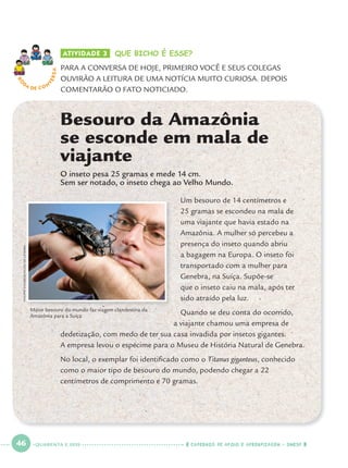 46 CADERNOS DE APOIO E APRENDIZAGEM · SMESP
O inseto pesa 25 gramas e mede 14 cm.
Sem ser notado, o inseto chega ao Velho Mundo.
Um besouro de 14 centímetros e
25 gramas se escondeu na mala de
uma viajante que havia estado na
Amazônia. A mulher só percebeu a
presença do inseto quando abriu
a bagagem na Europa. O inseto foi
transportado com a mulher para
Genebra, na Suíça. Supõe-se
que o inseto caiu na mala, após ter
sido atraído pela luz.
Quando se deu conta do ocorrido,
a viajante chamou uma empresa de
dedetização, com medo de ter sua casa invadida por insetos gigantes.
A empresa levou o espécime para o Museu de História Natural de Genebra.
No local, o exemplar foi identiﬁcado como o Titanus giganteus, conhecido
como o maior tipo de besouro do mundo, podendo chegar a 22
centímetros de comprimento e 70 gramas.
Maior besouro do mundo faz viagem clandestina da
Amazônia para a Suíça
Besouro da Amazônia
se esconde em mala de
viajante
RO
DA DE C O N
VERSA ATIVIDADE 3 QUE BICHO É ESSE?
PARA A CONVERSA DE HOJE, PRIMEIRO VOCÊ E SEUS COLEGAS
OUVIRÃO A LEITURA DE UMA NOTÍCIA MUITO CURIOSA. DEPOIS
COMENTARÃO O FATO NOTICIADO.
PHILIPPEWAGNEUR/MUSEUDEGENEBRA
QUARENTA E SEIS
Port1ºAno.indd 46Port1ºAno.indd 46 9/16/10 10:28 AM9/16/10 10:28 AM
 