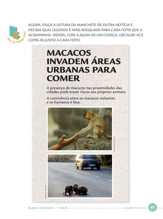 LÍNGUA PORTUGUESA · 1O
ANO 47
AGORA, OUÇA A LEITURA DA MANCHETE DE OUTRA NOTÍCIA E
DECIDA QUAL LEGENDA É MAIS ADEQUADA PARA CADA FOTO QUE A
ACOMPANHA. DEPOIS, COM A AJUDA DE UM COLEGA, LOCALIZE-AS E
COPIE-AS JUNTO A CADA FOTO.
O
BA, JÁ POSS
O
LER!
MACACOS
INVADEM ÁREAS
URBANAS PARA
COMER
A presença de macacos nas proximidades das
cidades pode trazer riscos aos próprios animais.
A convivência entre os macacos visitantes
e os humanos é boa.
PAULABRONSTEIN/AFP
FAROOQNAEEM/AFP
QUARENTA E SETE
Port1ºAno.indd 47Port1ºAno.indd 47 9/16/10 10:28 AM9/16/10 10:28 AM
 