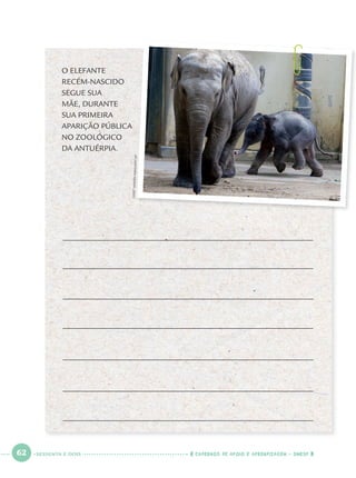 62 CADERNOS DE APOIO E APRENDIZAGEM · SMESP
O ELEFANTE
RECÉM-NASCIDO
SEGUE SUA
MÃE, DURANTE
SUA PRIMEIRA
APARIÇÃO PÚBLICA
NO ZOOLÓGICO
DA ANTUÉRPIA.
GEERTVANDENWIJNGAERT/AP
SESSENTA E DOIS
Port1ºAno.indd 62Port1ºAno.indd 62 9/16/10 10:29 AM9/16/10 10:29 AM
 