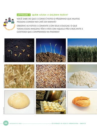 66 CADERNOS DE APOIO E APRENDIZAGEM · SMESP
ATIVIDADE 1 QUEM AJUDA A GALINHA RUIVA?
VOCÊ SABE DE QUE E COMO É FEITO O PÃOZINHO QUE MUITAS
PESSOAS COMEM NO CAFÉ DA MANHÃ?
OBSERVE AS FOTOS E COMENTE COM SEUS COLEGAS: O QUE
TODAS ESSAS IMAGENS TÊM A VER COM AQUELE PÃO CROCANTE E
GOSTOSO QUE COMPRAMOS NA PADARIA?
RO
DA DE C O N
VERSA
WALTERCRAVEIROLUCIANAWHITAKER/PULSARIMAGENSWALTERCRAVEIRO
WALTERCRAVEIROWALTERCRAVEIROWALTERCRAVEIRO
DELFIMMARTINS/PULSARIMAGENSWALTERCRAVEIROWALTERCRAVEIRO
SESSENTA E SEIS
Port1ºAnoParte2.indd 66Port1ºAnoParte2.indd 66 9/16/10 10:38 AM9/16/10 10:38 AM
 