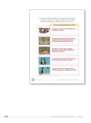 174 CADERNOS DE APOIO E APRENDIZAGEM · SMESP
A imagem 1 mostra que a preguiça vive
agarrada às árvores.
A imagem 2 mostra que sobre a pele da
preguiça podem brotar algas verdes,
nas quais as borboletas põem ovos.
A imagem 3 mostra que a preguiça
desce ao chão para fazer um buraco e
depositar suas fezes.
A imagem 4 mostra que a fêmea coloca
os ovos dentro da bolsa do macho.
A imagem 5 mostra o cavalo-marinho
macho “expulsando” os ﬁlhotes da bolsa.
Port3ºAnoParte2PROF.indd 174Port3ºAnoParte2PROF.indd 174 9/16/10 11:17 AM9/16/10 11:17 AM
 