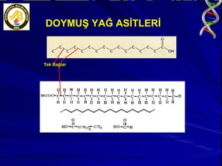 Tek Bağlar DOYMUŞ YAĞ ASİTLERİ 