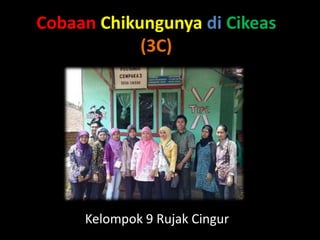 Cobaan Chikungunya di Cikeas
(3C)
Kelompok 9 Rujak Cingur
 