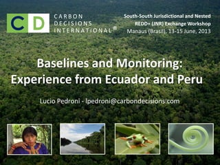 VCS-JNR:
Lessons learned and suggestions
Lucio Pedroni
Baselines and Monitoring:
Experience from Ecuador and Peru
Lucio Pedroni - lpedroni@carbondecisions.com
C A R B O N
D E C I S I O N S
I N T E R N A T I O N A L
South-South Jurisdictional and Nested
REDD+ (JNR) Exchange Workshop
Manaus (Brasil), 13-15 June, 2013®
 