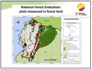 National Forest Evaluation:
plots measured in forest land
 