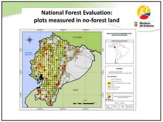 Paso 4. Creación de un Mapa de Densidades
de Carbono (MDC)
National Forest Evaluation:
plots measured in no-forest land
 