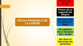 FECHA PROBABLE DE
LA LESIÓN
Primer Día
(Rojo)
Primer día al
segundo día
(Negro)
Del tercer día
al sexto día
(azul)
Del séptimo
día al doceavo
día ( verde)
Del doce al
diecisiete día
(amarillo)
 