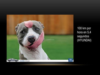 100 km por
hora en 5,4
segundos
(HYUNDAI)
 