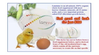 Laminine - l.p.g.n. Angela B.