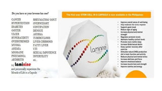 Laminine - l.p.g.n. Angela B.