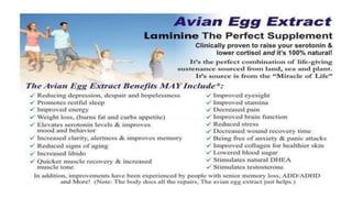 Laminine - l.p.g.n. Angela B.