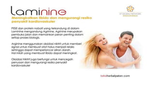 Laminine - l.p.g.n. Angela B.