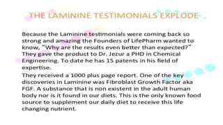 Laminine - l.p.g.n. Angela B.