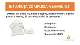 INFLUENȚA COMPLEXĂ A LAMININEI
Extrasul din ouăle fecundate de găină, proteine vegetale și din
produse marine, 22 de aminoacizi și de asemenea…
•
. polipeptide
. oligopeptide
. factorul de creștere a
fibroblaștilor (FGF)
 