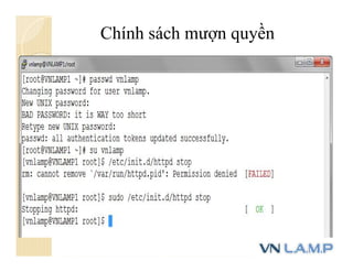 Chính sách mượn quyền
 