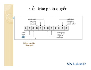 Cấu trúc phân quyền
 