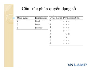 Cấu trúc phân quyền dạng số
 