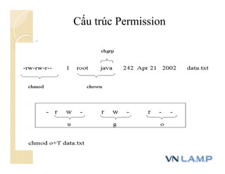 Cấu trúc Permission
 