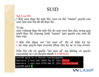 SUID
Set User ID
• Khi user thực thi một file, user có thể “mượn” quyền của
user làm chủ file đó để thực thi.
Ví dụ:
user vnlamp thực thi một file do user root làm chủ, trong quá
trình thực thi chương trình “mượn” tạm quyền của root để
làm việc.
• Khi file được set “set user id” thì sẽ hiện ký tự:
s tại mục quyền hạn execute (thay cho ký tự x) của owner.
Nếu file chỉ có quyền “set user id” mà không có quyền
executeký tự s sẽ chuyển thành S (viết hoa).
 