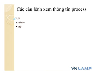 • ps
• pstree
• top
Các câu lệnh xem thông tin process
 