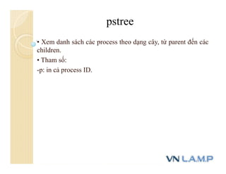 • Xem danh sách các process theo dạng cây, từ parent đến các
children.
• Tham số:
-p: in cả process ID.
pstree
 