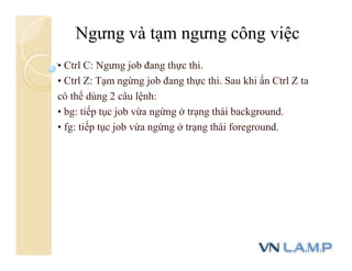 • Ctrl C: Ngưng job đang thực thi.
• Ctrl Z: Tạm ngừng job đang thực thi. Sau khi ấn Ctrl Z ta
có thể dùng 2 câu lệnh:
• bg: tiếp tục job vừa ngừng ở trạng thái background.
• fg: tiếp tục job vừa ngừng ở trạng thái foreground.
Ngưng và tạm ngưng công việc
 