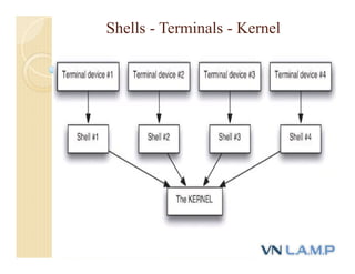Shells - Terminals - Kernel
 