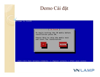 Demo Cài đặt
 
