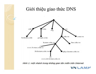 Giới thiệu giao thức DNS
 