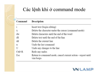 Các lệnh khi ở command mode
 