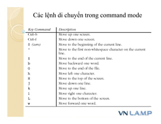 Các lệnh di chuyển trong command mode
 