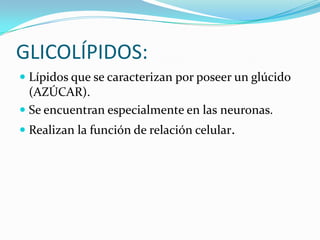 GLICOLÍPIDOS:Lípidos que se caracterizan por poseer un glúcido (AZÚCAR).Se encuentran especialmente en las neuronas.Realizan la función de relación celular.