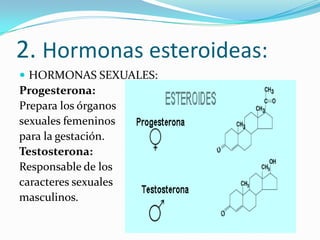 2. Hormonas esteroideas:HORMONAS SEXUALES:Progesterona:Prepara los órganossexuales femeninospara la gestación.Testosterona:Responsable de loscaracteres sexualesmasculinos. 