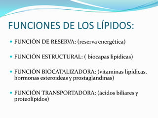 FUNCIONES DE LOS LÍPIDOS:FUNCIÓN DE RESERVA: (reserva energética)FUNCIÓN ESTRUCTURAL: ( biocapaslipídicas)FUNCIÓN BIOCATALIZADORA: (vitaminas lipídicas, hormonas esteroideas y prostaglandinas)FUNCIÓN TRANSPORTADORA: (ácidos biliares y proteolípidos)