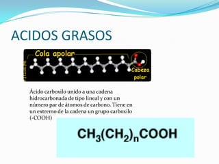 ACIDOS GRASOSÁcido carboxilo unido a una cadena hidrocarbonada de tipo lineal y con un número par de átomos de carbono. Tiene en un extremo de la cadena un grupo carboxilo     (-COOH)
