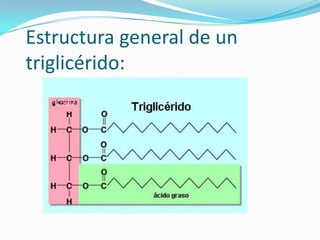   Estructura general de un    triglicérido:
