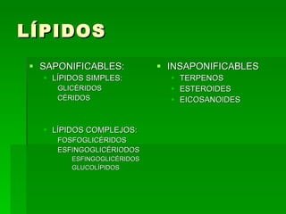 LÍPIDOS ,[object Object],[object Object],[object Object],[object Object],[object Object],[object Object],[object Object],[object Object],[object Object],[object Object],[object Object],[object Object],[object Object]