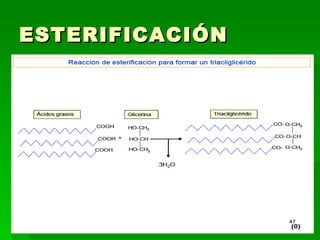 ESTERIFICACIÓN 
