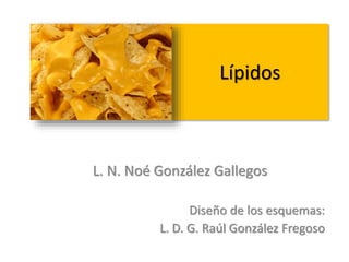 Lípidos
L. N. Noé González Gallegos
Diseño de los esquemas:
L. D. G. Raúl González Fregoso
 